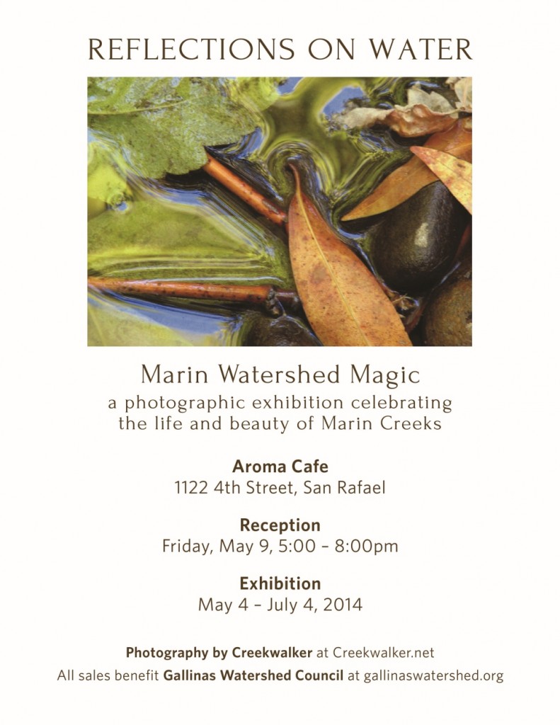 Reflections on Water Marin Watershed Magic photo exhibit